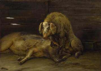 Två grisar i en stall, 1649
