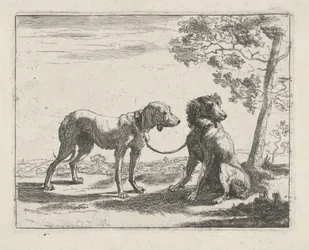 Två hundar Hundar (serietitel)