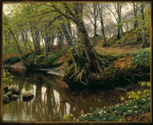 Vårdag i kanten av skogen