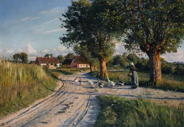 Vägen hem