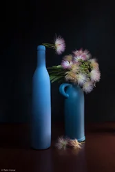 Botaniska blå och rosa toner