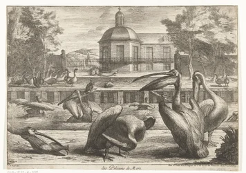 pelikaner des Pelicans de Mere (titel på objekt) Fåglar från menageriet i Versailles (serietitel)