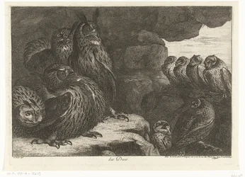 Ugglor i en grotta des Ducs (titel på objekt) Fåglar från menageriet i Versailles (serietitel)