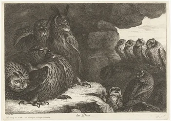 Ugglor i en grotta des Ducs (titel på objekt) Fåglar från menageriet i Versailles (serietitel)