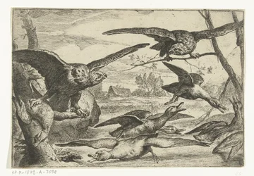 Roofvogels Olika fåglar (serietitel)