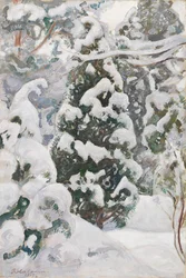 En i snö