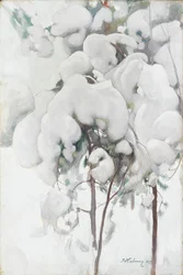 Snötäckta tallplantor