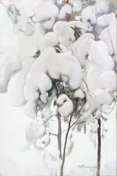 Snötäckta tallplantor