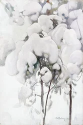 Snötäckta tallplantor