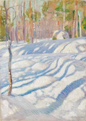 Solbelyst vinterlandskap
