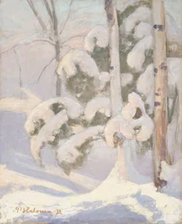 Vinterlandskap