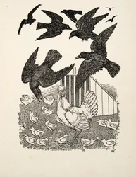 En beräknande kråka, från Hundra anekdoter av djur, pub. 1924