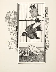 En välgörande kanariefågel, från A Hundred Anecdotes of Animals, pub. 1924