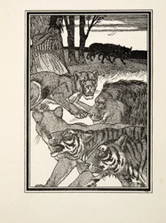 En tacksam lejoninna, från Hundra anekdoter av djur, pub. 1924 (gravyr)