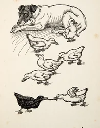 A Singular Foster-Mother, från A Hundred Anecdotes of Animals, pub. 1924