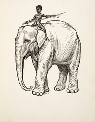 Ånger, från Hundra anekdoter av djur, pub. 1924
