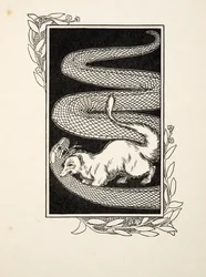 Snake Destroyers, från A Hundred Anecdotes of Animals, pub. 1924 (gravyr)