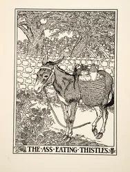 The Ass eating Thistles, från A Hundred Fables of Aesop, pub.1903