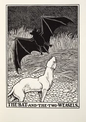Fladdermusen och de två vesslorna, från Fontaine Fables, pub. 1905
