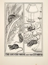 Landsmusen och stadsmusen, från Aesops hundra fabler, pub.1903