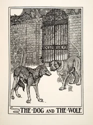 Hunden och vargen, från Aesops hundra fabler, pub.1903 (gravyr)