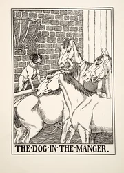 Hunden i krubban, från A Hundred Fables of Aesop, pub.1903