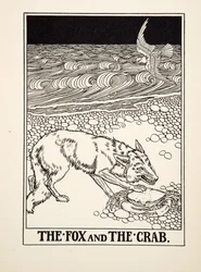 Räven och krabban, från Aesops hundra fabler, pub.1903 (gravyr)