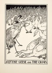 Gässen och tranorna, från Aesops hundra fabler, pub.1903