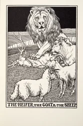 Kvigan, geten och fåret, från Fontaine Fables, pub. 1905