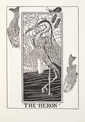 The Heron, från Fontaine Fables, pub. 1905 (gravyr)