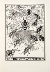 Hornets and the Bees, från Fontaine Fables, pub. 1905 (gravyr)