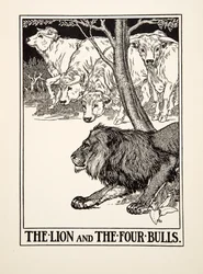 Lejonet och de fyra tjurarna, från Aesops hundra fabler, pub.1903 (gravyr)