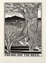 The Oak and the Reed, från Fontaine Fables, pub. 1905