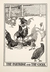 Rapphönan och tupparna, ur Hundra fabler av Aisopos, utgiven 1903