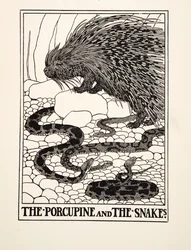 Porcupine and the Snakes, från A Hundred Fables of Aesop, pub.1903 (gravyr)