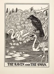 Korpen och svanen, från Aesops hundra fabler, pub.1903