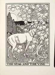 The Stag and the Vine, från Fontaine Fables, pub. 1905