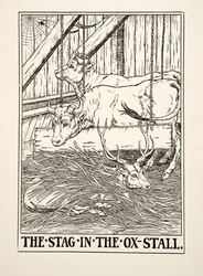 The Stag in the Ox Stall, från A Hundred Fables of Aesop, pub.1903 (gravyr)