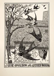 Svalan och andra fåglar, från Aesops hundra fabler, pub.1903