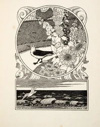 Den tama måsen, från A Hundred Anecdotes of Animals, pub. 1924 (gravyr)