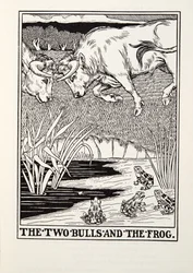 De två tjurarna och grodan, från Fontaine Fables, pub. 1905