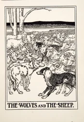 Vargarna och fåren, från A Hundred Fables of Aesop, utgiven 1903 (gravyr)