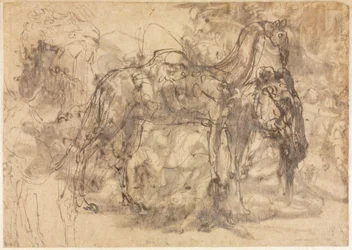 Skisser av djur ago, ca. 154547.