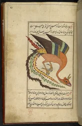 Lägg till MS 15241 f.64r The simurgh, en iransk åskfågel, från 