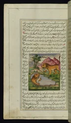 Ett ont lejon, lurat av en hare, tittar in i en brunn och ser sin reflektion från Lights of Canopus