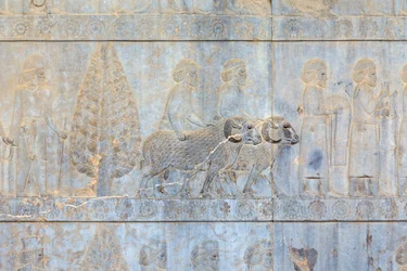 Basreliefer vid väggarna i Apadana-palatset och trappan, Persepolis, Iran (sandsten)