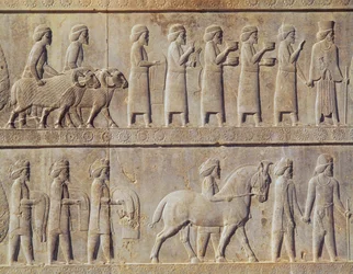Detalj av relieffrisen på den östra trappan till Apadana (publikens sal) som visar delegater från imperiets undersökta länder med påkostade gåvor för en ceremoni, Achaemenian period, c.515 BC (kalksten)