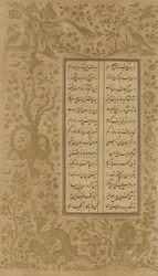Druvranka och fågeldesign, folio från Yusuf u-Zulaikha av Jami (d. 1492) Qazvin, Iran, Safaviddynastin, 1557 (bläck och guld på papper)
