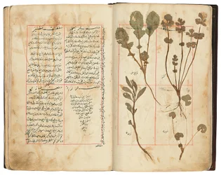 Hassan Bin Baqir Bin Jarrah: Ghalzar Al-Raihain, Qajar Iran