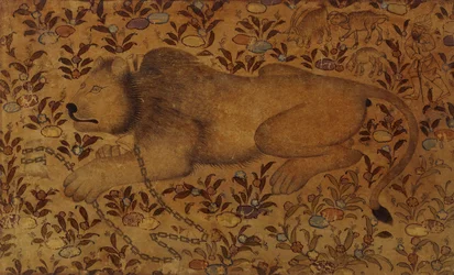 Studie av ett lejon, 1500-talet